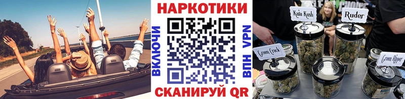 A PVP Элиста