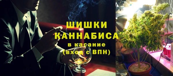 молекула духа Кинешма