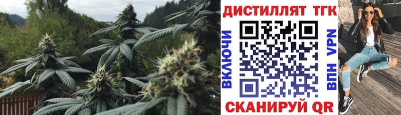ТГК жижа  закладки  Элиста 