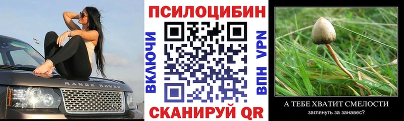 магазин продажи   Элиста  Галлюциногенные грибы MAGIC MUSHROOMS 